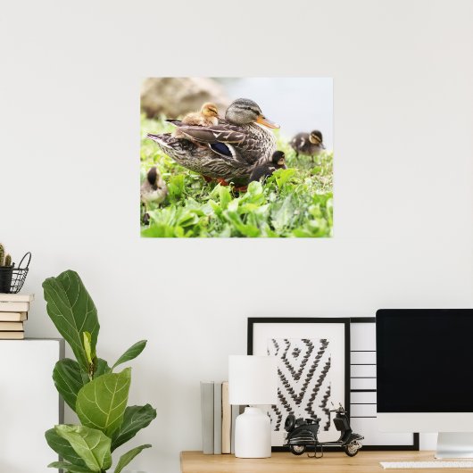 Weibliche Mallard, umgeben von Ducklings Poster (Heimbüro)