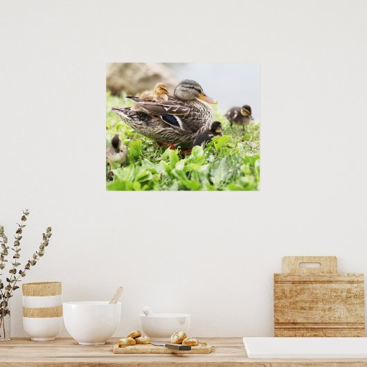 Weibliche Mallard, umgeben von Ducklings Poster (Küche)