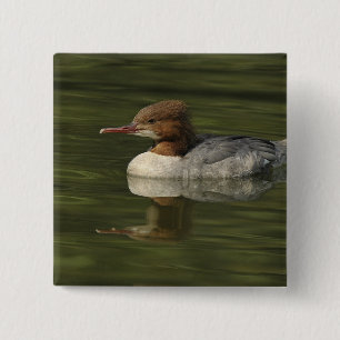 Weibliche Meerente Button