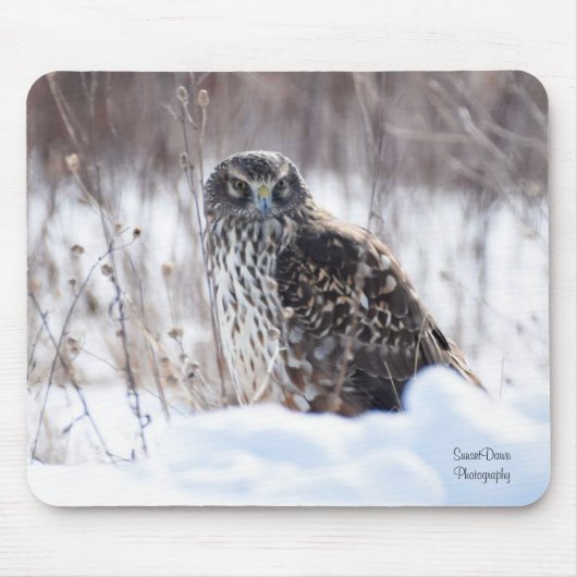 Weibliche Nördliche Harrier Mousepad (Vorne)