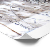 Weibliche Nördliche Harrier Poster (Ecke)