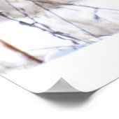 Weibliche Nördliche Harrier Poster (Ecke)