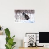 Weibliche Nördliche Harrier Poster (Heimbüro)