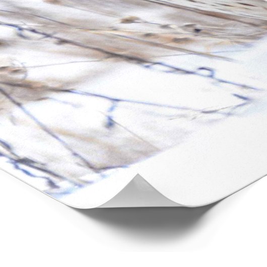 Weibliche Northern Harrier Poster (Ecke)