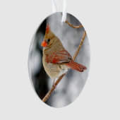 Weibliche Ornamente aus dem nördlichen Kardinal (Vorderseite)