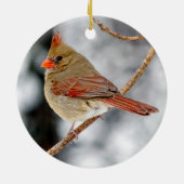 Weibliche Ornamente des nördlichen Kardinals (Hinten)