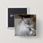 Weibliche Ragdoll-Katze Button (Vorne & Hinten)