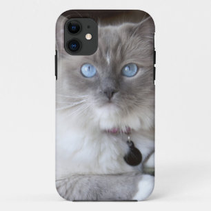 Weibliche Ragdoll-Katze Case-Mate iPhone Hülle