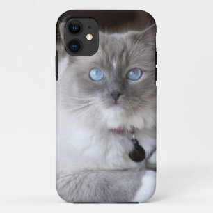 Weibliche Ragdoll-Katze Case-Mate iPhone Hülle