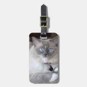 Weibliche Ragdoll-Katze Gepäckanhänger