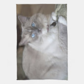 Weibliche Ragdoll-Katze Geschirrtuch (Vertikal)