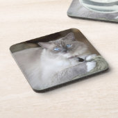 Weibliche Ragdoll-Katze Getränkeuntersetzer (Linke Seite)