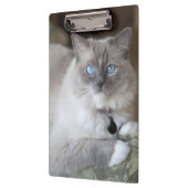 Weibliche Ragdoll-Katze Klemmbrett (Links)