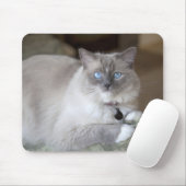 Weibliche Ragdoll-Katze Mousepad (Mit Mouse)