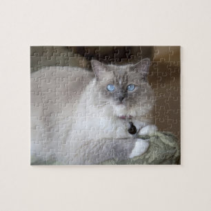 Weibliche Ragdoll-Katze Puzzle