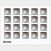 Weibliche Ragdoll-Katze Quadratischer Aufkleber (Blatt)
