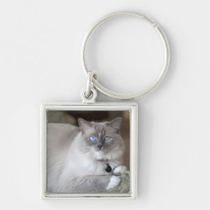 Weibliche Ragdoll-Katze Schlüsselanhänger