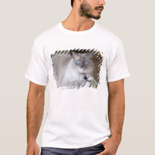Weibliche Ragdoll-Katze T-Shirt