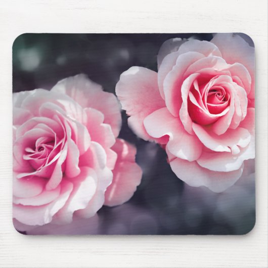 Weibliche rosa Rosen-BlumenFoto Mousepad (Vorne)