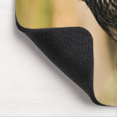 Weibliche rotgeflügelte Amsel Mousepad (Ecke)