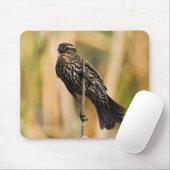 Weibliche rotgeflügelte Amsel Mousepad (Mit Mouse)