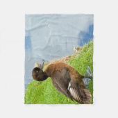 Weibliche rötlich braune büschelige Taucherente im Fleecedecke (Vorderseite)