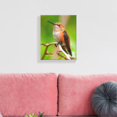 Weibliche Rufous Hummingbird auf dem Pflaumenbaum Leinwanddruck (Insitu (Wohnzimmer))
