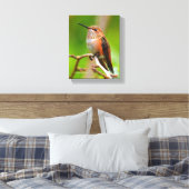 Weibliche Rufous Hummingbird auf dem Pflaumenbaum Leinwanddruck (Insitu (Schlafzimmer))