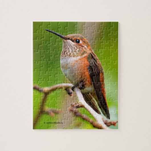 Weibliche Rufous Hummingbird auf dem Pflaumenbaum Puzzle (Vertikal)