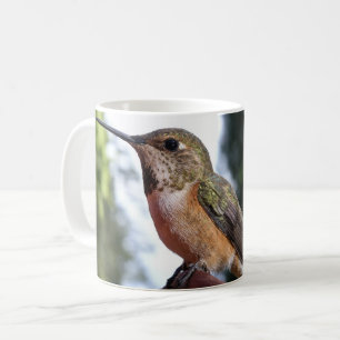 Weibliche Rufous Hummingbird - Tasse