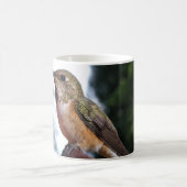 Weibliche Rufous Hummingbird - Tasse (Mittel)