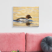 Weibliche Schellente Leinwanddruck (Insitu (Wohnzimmer))