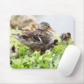 Weibliche Stockente umgeben durch Entlein Mousepad (Mit Mouse)