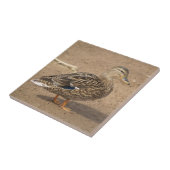 Weibliche Stockenten-Enten-Fliese Trivet Fliese (Seite)
