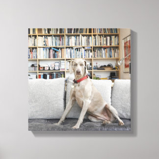 Weibliche Tiere Leinwanddruck