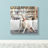 Weibliche Tiere Leinwanddruck (Insitu (Holzboden))