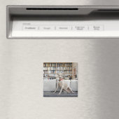 Weibliche Tiere Magnet (In Situ (Geschirrspüler))