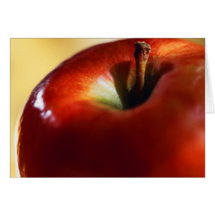 WEIBLICHE VORHERRSCHAFT BEGONNEN MIT EVE