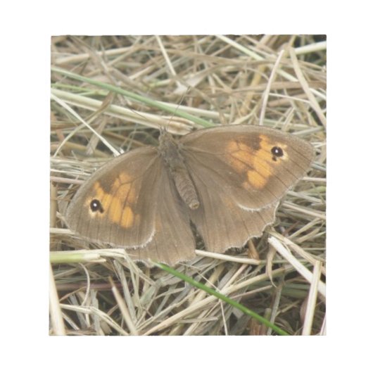 Weibliche Wiese Brown Butterfly Notepad Notizblock (Vorderseite)