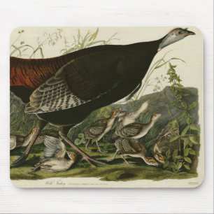 Weibliche wilde Türkei aus Audubons Vögeln in Amer Mousepad