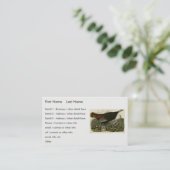 Weibliche wilde Türkei aus Audubons Vögeln in Amer Visitenkarte (Stehend Vorderseite)