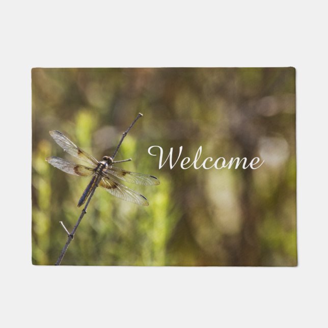 Weibliche Witwe Skimmer auf einem Stock Fußmatte (Vorderseite)