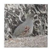 Weiblichen Gambels Wachteln Fliese (Vorderseite)