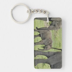 Weiblicher Afrikanischer Elefant mit Baby Schlüsselanhänger