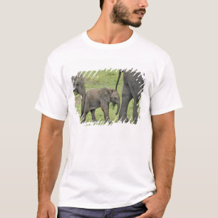 Weiblicher Afrikanischer Elefant mit Baby T-Shirt