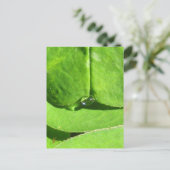 Weiblicher Bauch, Grüne Wolkengöttin Postkarte (Stehend Vorderseite)