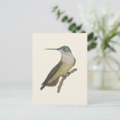 Weiblicher Calliope-Kolibri Postkarte (Stehend Vorderseite)