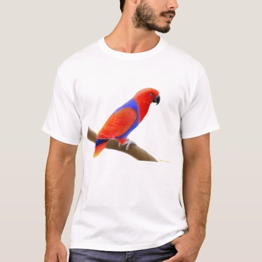 Weiblicher Eclectus Papageien-T - Shirt (Vorderseite)