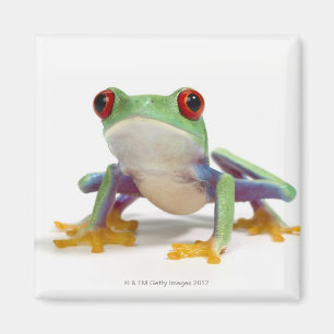 Weiblicher Frosch 2 Magnet