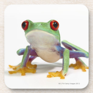Weiblicher Frosch 2 Untersetzer
